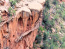 Full Size Image