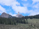 Full Size Image
