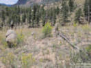 Full Size Image