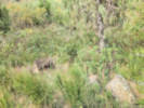 Full Size Image