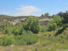 Full Size Image