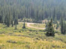 Full Size Image