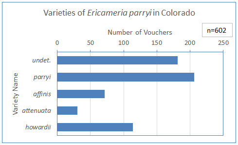Varieties of <i>Ericameria parryi</i> in Colorado.
