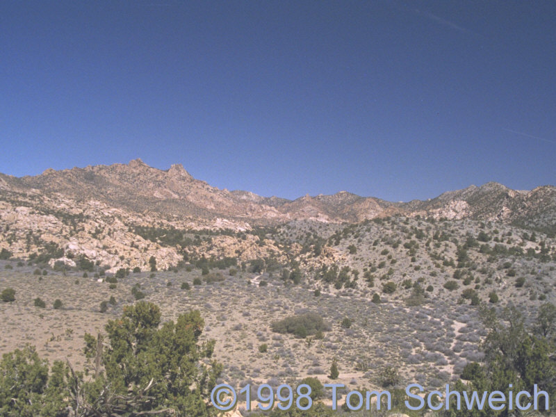 Caruthers Canyon as seen from New York Mountain Road.