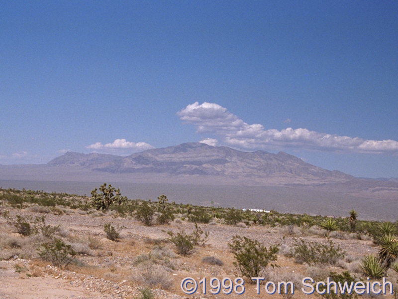 View of the Sheep Range from Kyle Canyon Road.