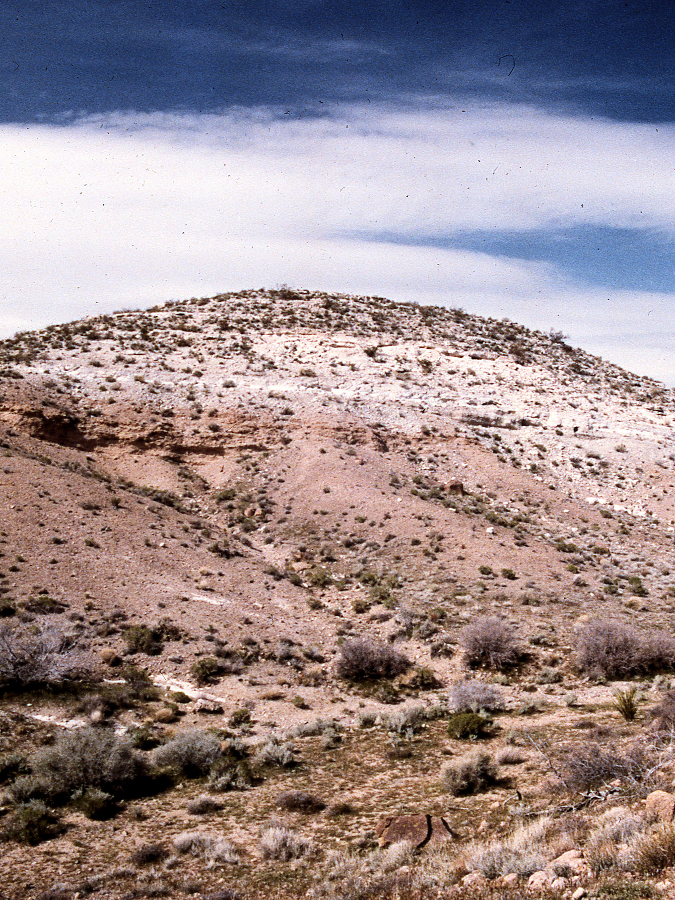 California, San Bernardino County, Hackberry Mountain, Winkler Formation.