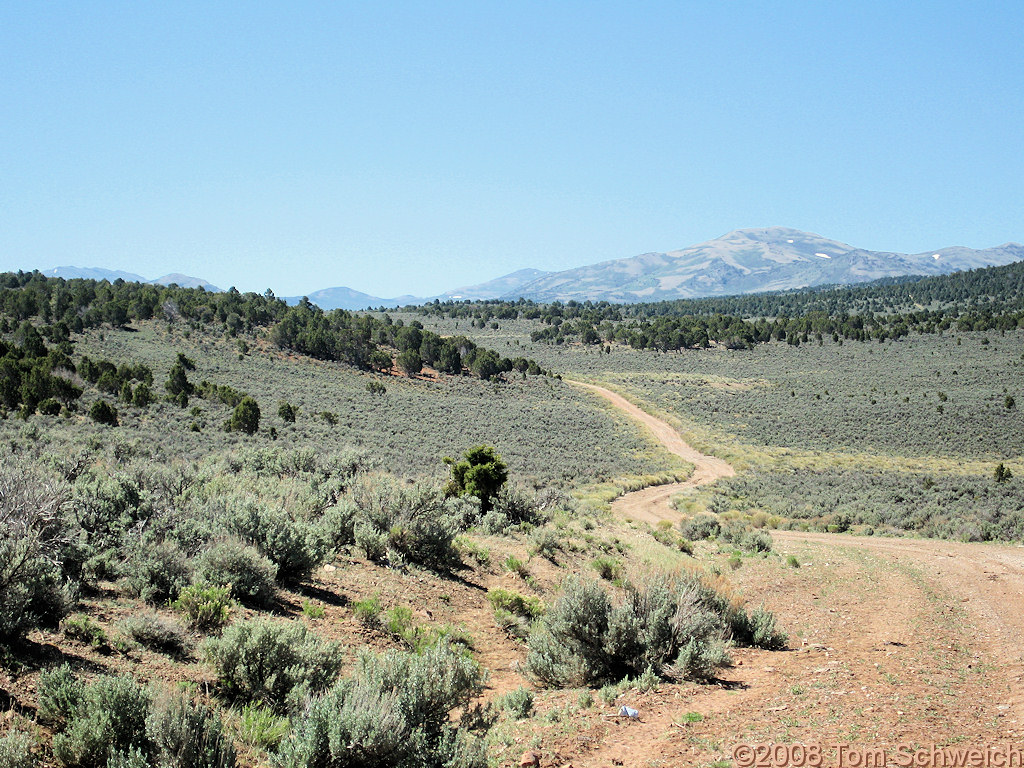 Nevada, White Pine County