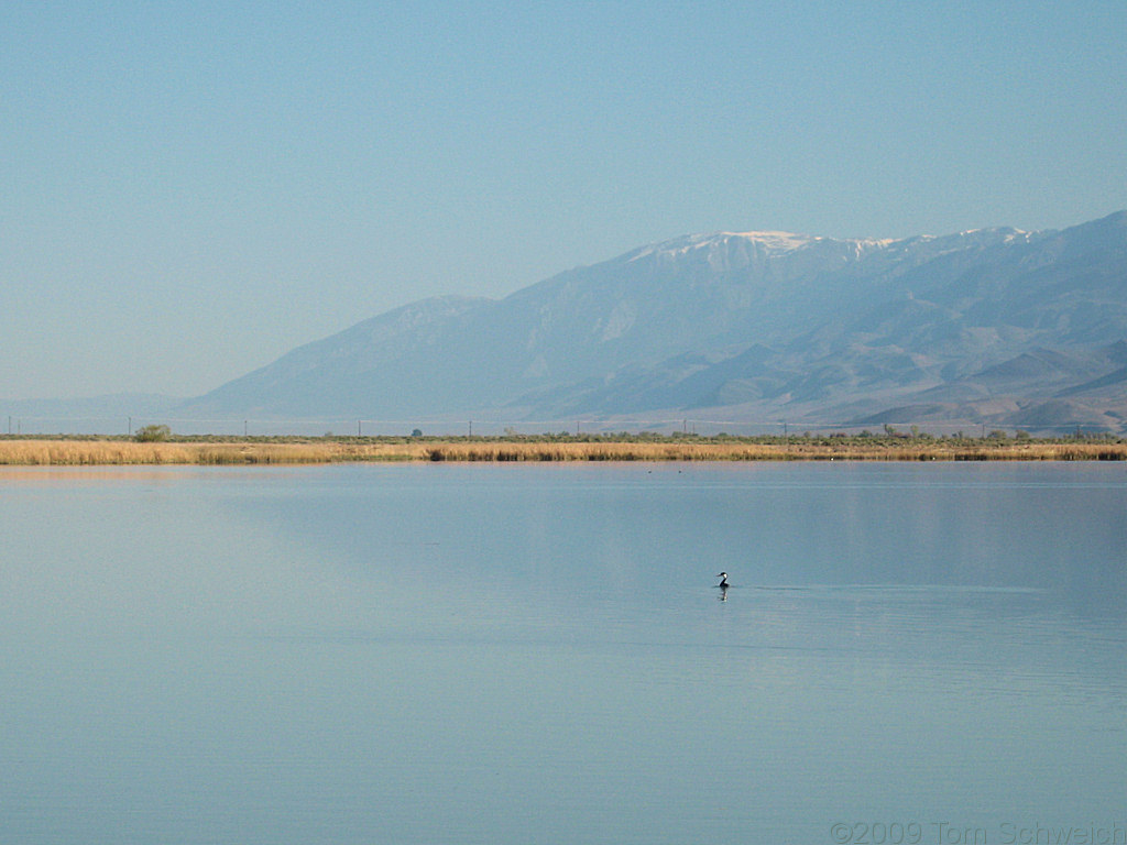 California, Inyo County, Klondike Lake