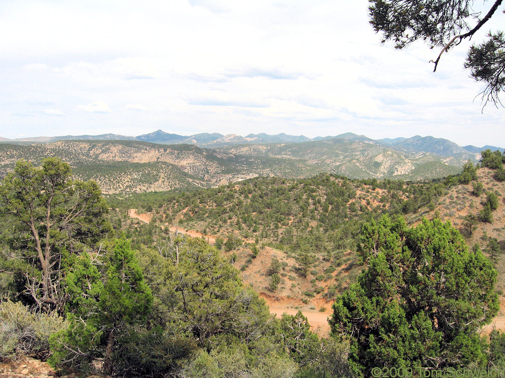 Beaver Dam State Park, Lincoln County, Nevada