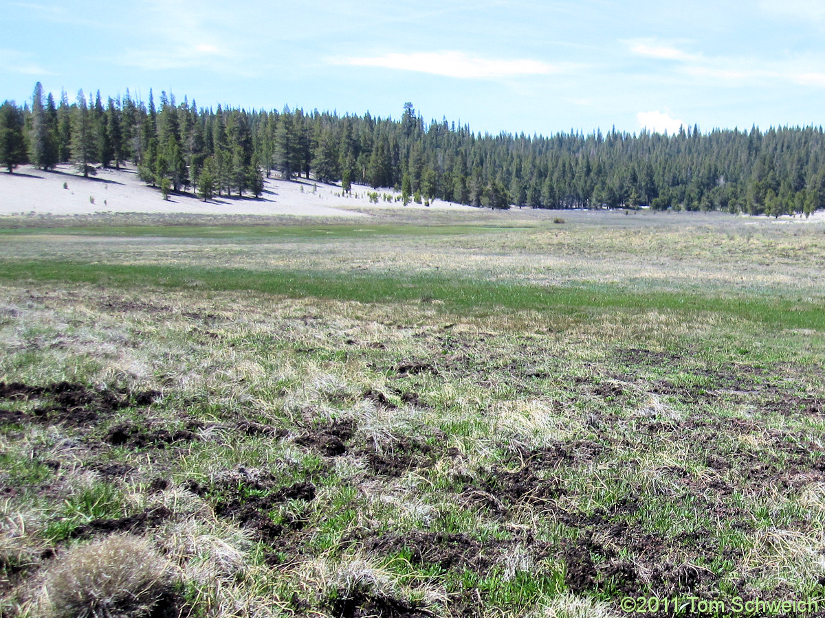 California, Mono County, Crooked Meadows
