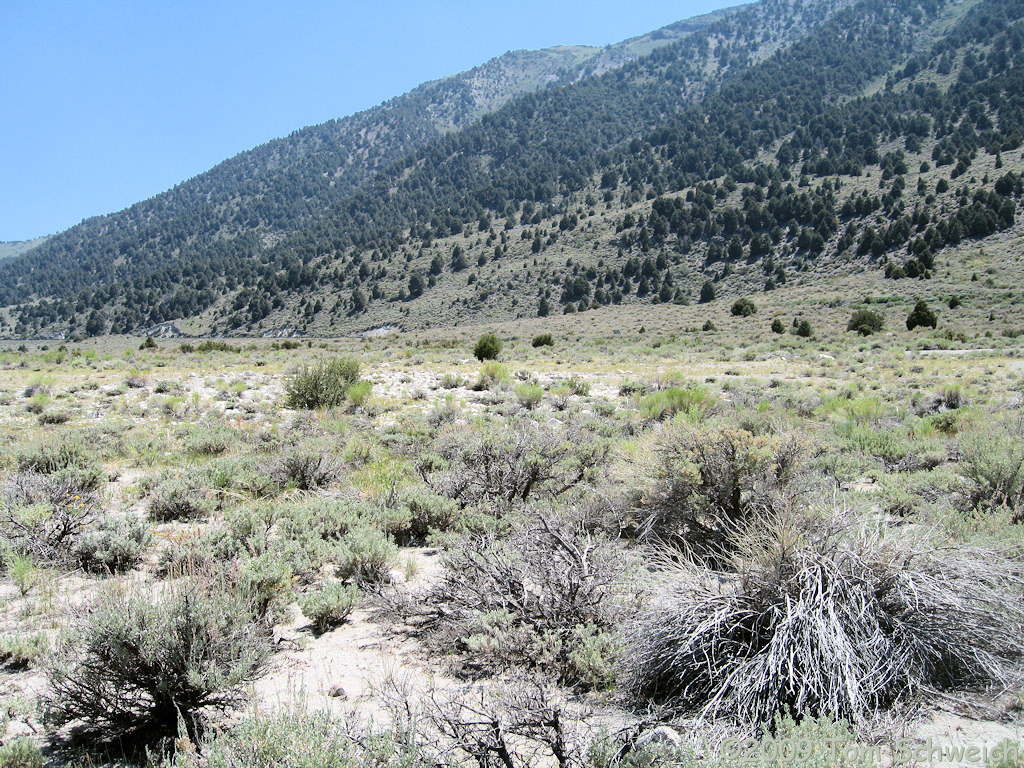 Site P-5, Mono Lake, Mono County, California
