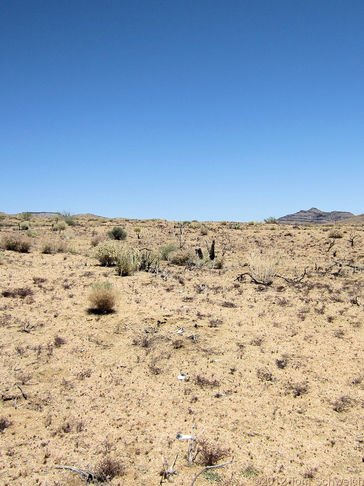 California, San Bernardino County, Lobo Point