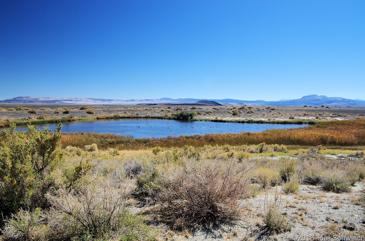 California, Mono County, County Ponds