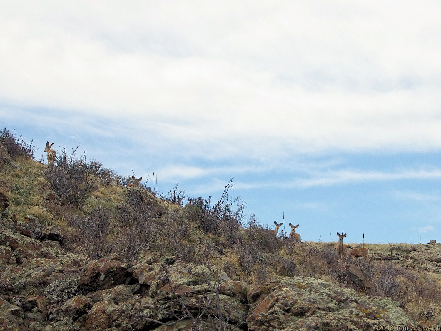 Colorado, Jefferson County, North Table Mountain