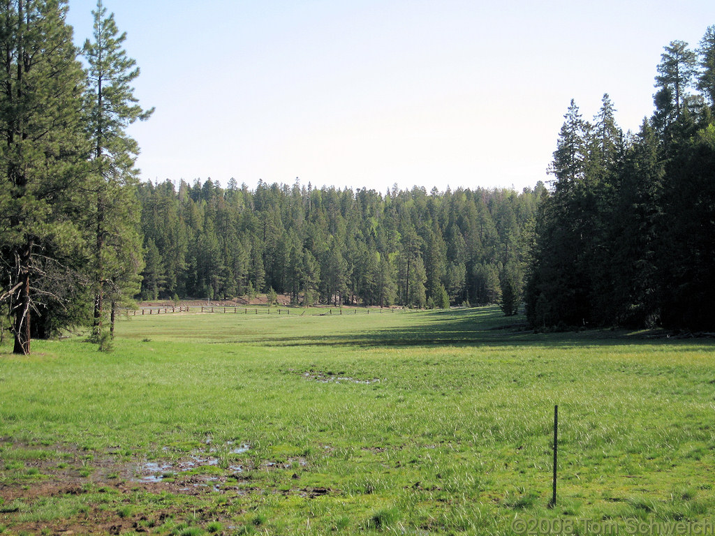 Arizona, Greenlee County, Hannagan Meadow