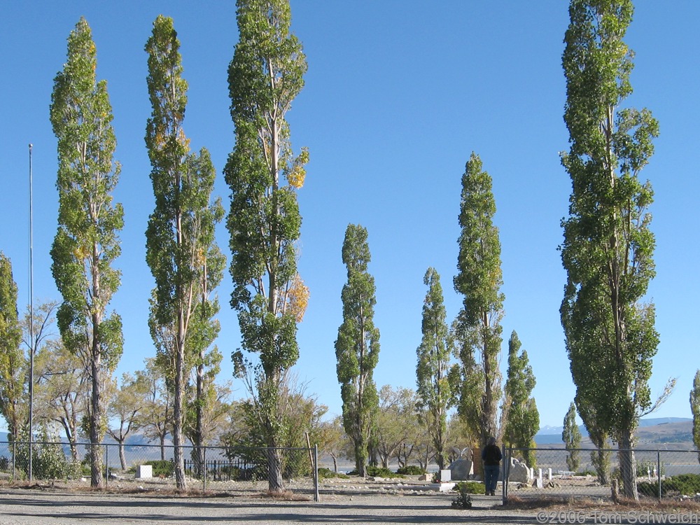 Mono Lake Cemetery, Mono County,California