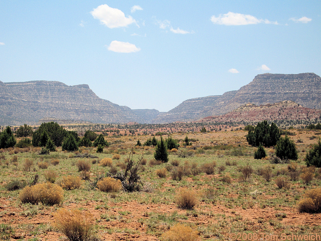 Utah, Garfield County, Left Hand Collet Canyon