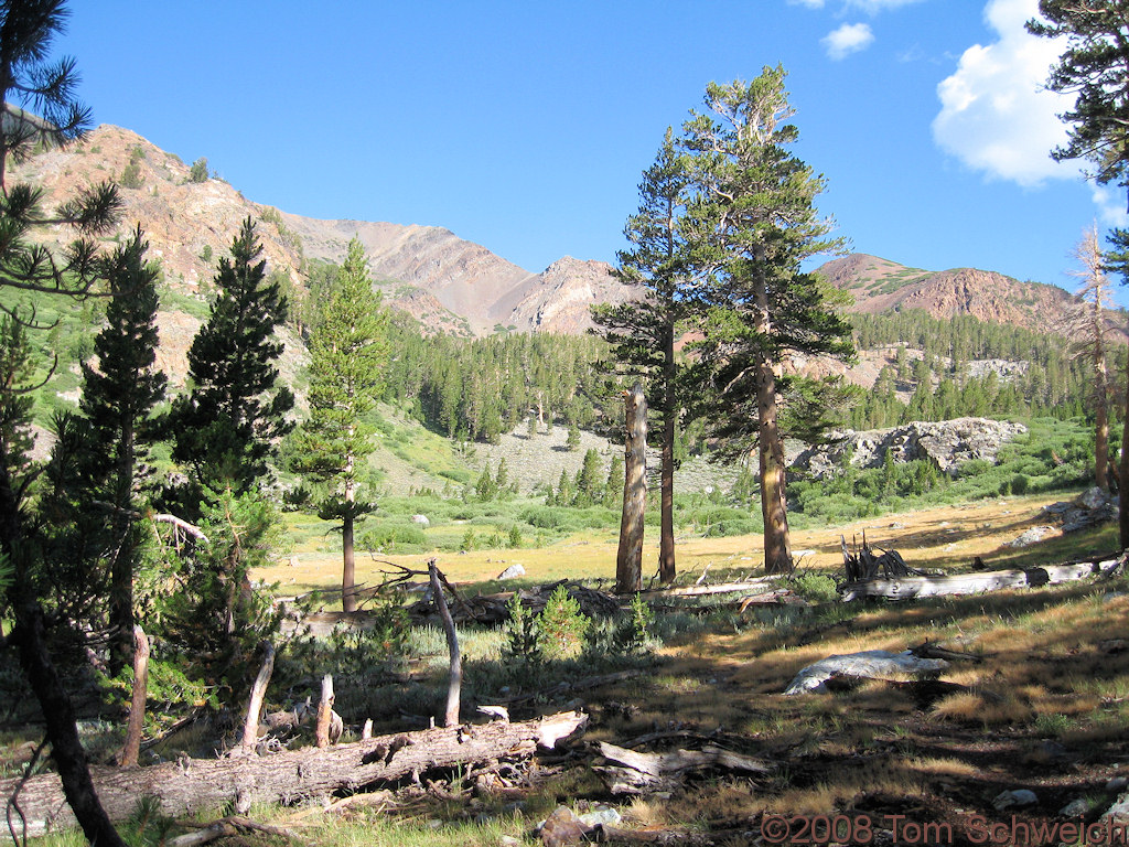 California, Mono County, Warren Canyon