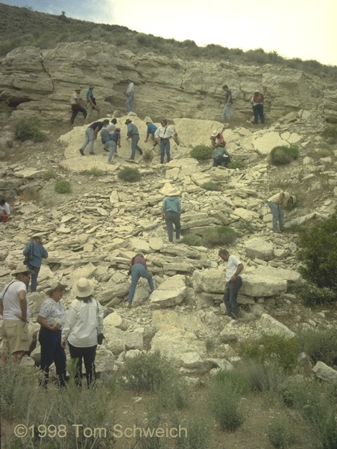 Winkler Formation at Hackberry Mountain.