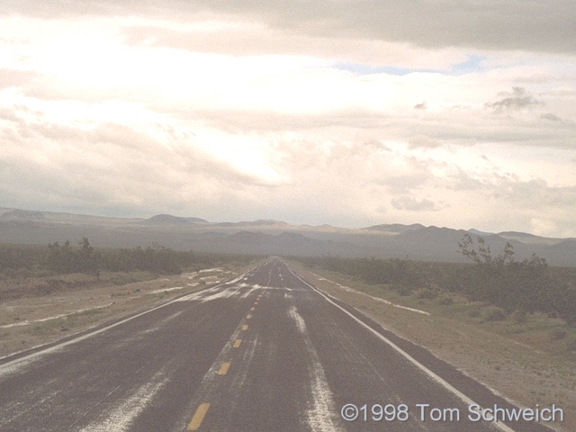 Kelbaker Road near Baker in an El Nino Spring rain.